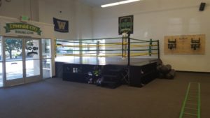 Emerald City Boxing Gym boxing classes seattle