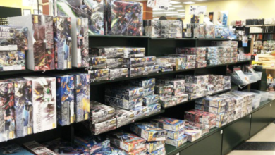 All About the Exclusive Anime Stores in Chicago