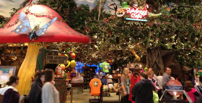 The Fascinating Rainforest Cafe In Chicago