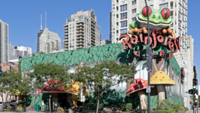 _The Fascinating Rainforest Cafe In Chicago