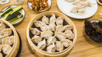 5 Restaurants for best dumplings in Chicago