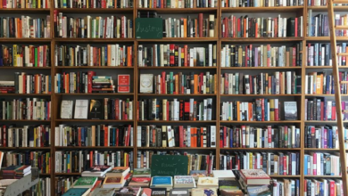 Bookstores in Chicago a Bibliophile Should Explore