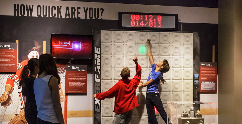 Chicago Sports Museum Hours