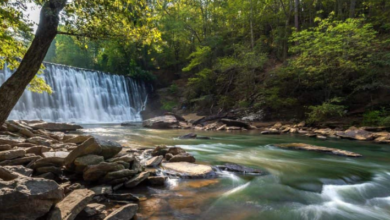 Waterfalls Near Atlanta To Explore During Summer
