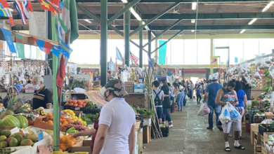 Farmers Market Miami - Top 7 To Explore!