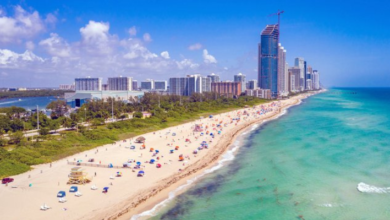Miami Beach Parks - Top 5 To Explore!